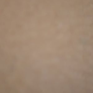 Meet your Posher, Lindsay